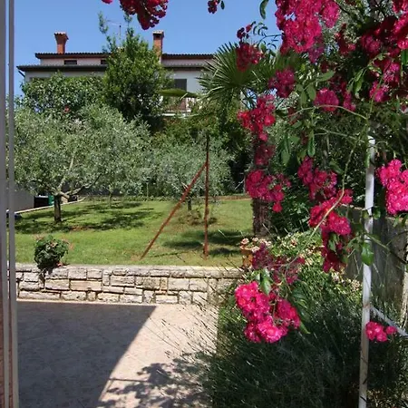 Apartments Darinka Porec Exterior photo