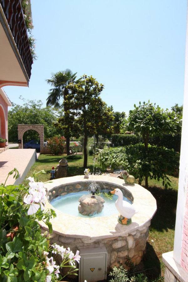 Darinka Porec
